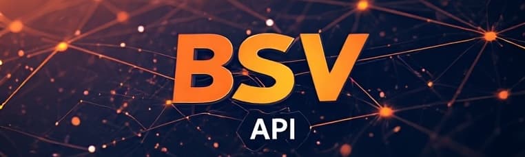 BSV API